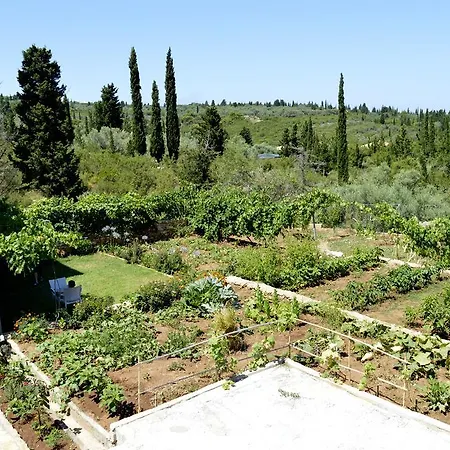 Apartmán Despoina *