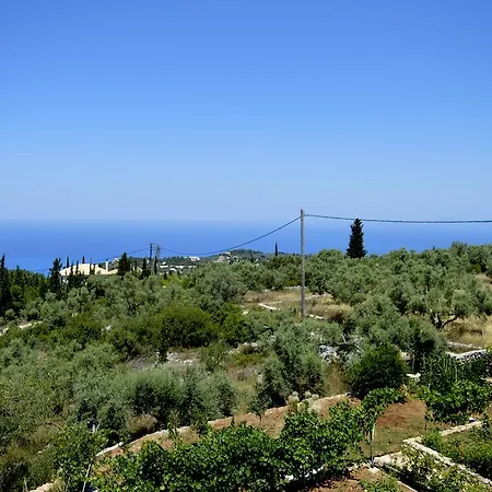 Despoina * Tsoukaládhes